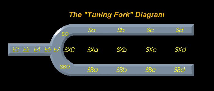 tuning fork diagram