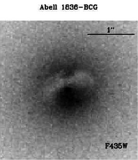 Abell 1836-BCG